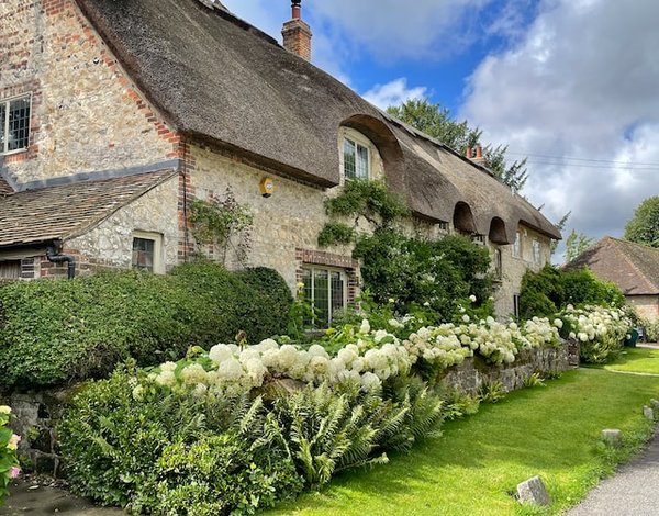 Comment créer un jardin écologique ?