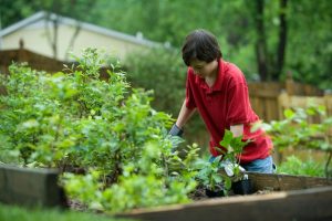 Espaces verts harmonieux pour un cadre apaisant. 